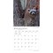 BrownTrout; Connecticut Wild & Scenic | 2027 12 x 24 Inch (Hanging) Monthly Square Wall Calendar | Plastic-Free; Category:Wall Calendars; Image:5